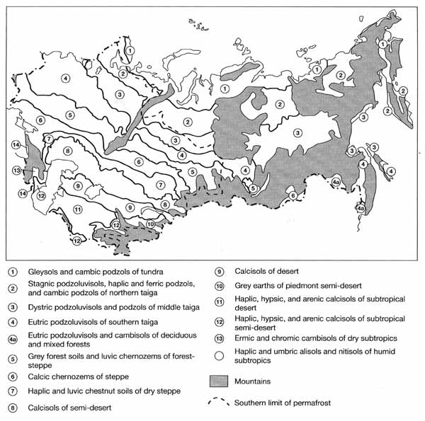 Types of soils and corresponding vegetation zones in Northern Eurasia