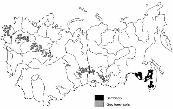 Distribution of cambisols and grey forest soils