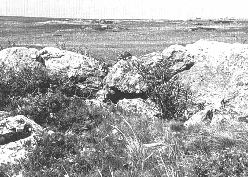 Stony steppes typical of the southern Urals and Asiatic territory